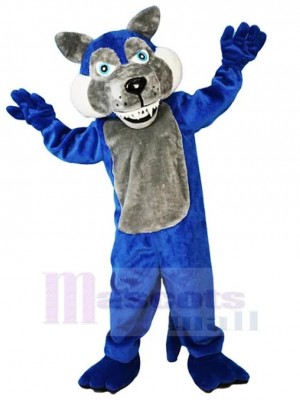 Blauer Wolf Maskottchen Kostüm Tier mit grauem Bauch