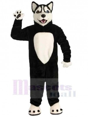 Glücklicher schwarzer Wolf Maskottchen Kostüm Tier mit weißem Bauch