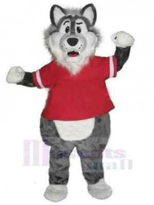 Schöner grauer Wolf Maskottchen Kostüm Tier in roten Kleidern