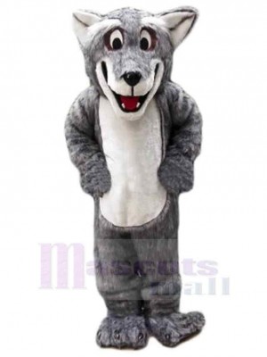 Komischer Plüsch-Kojotenwolf Maskottchen Kostüm Tier
