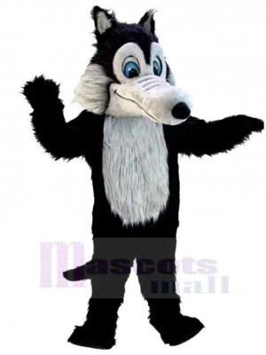 Schwarzer Wolf Plüsch mit grauem Bauch Maskottchen Kostüm Tier