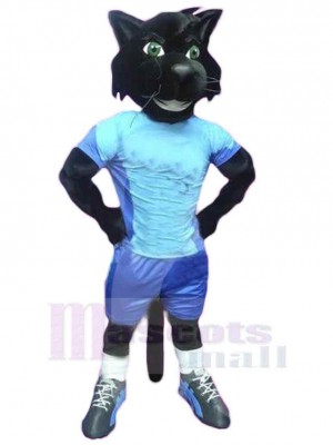 College-Panther Maskottchen-Kostüm Tier in blauer Kleidung