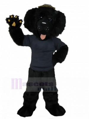 Schwarzer Pudel-Hunde-Maskottchen-Kostüm in Marineuniform Tier