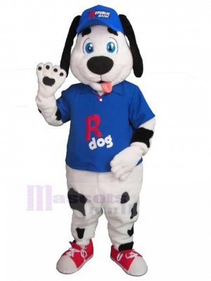 Schwarzfleckiger Dalmatiner Hund Maskottchen-Kostüm mit blauem Baseball-Anzug Tier