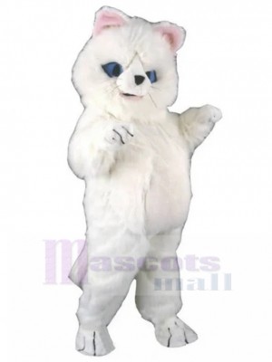 Plüsch Weiß Persische Katze Maskottchen Kostüm Tier