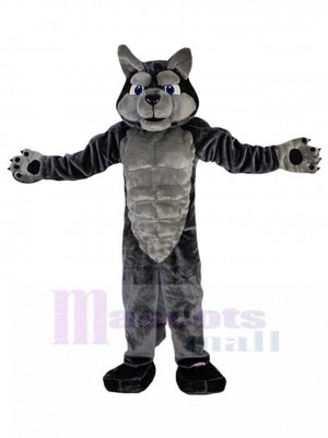 Muskulös Grauer Wolf Maskottchen Kostüm Tier