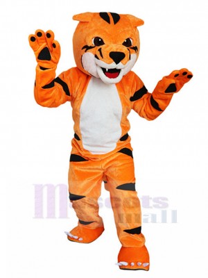 Sympathisch Kleiner oranger Tiger Maskottchen Kostüm Tier
