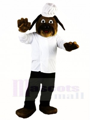 Braun Hund Chef Cook Maskottchen Kostüme Tier