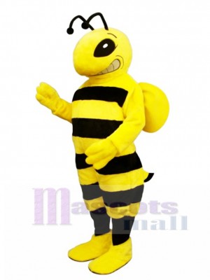 Karikatur Biene Maskottchen Kostüm Insekt