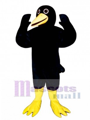 Blackie Amsel Maskottchen Kostüm Vogel  