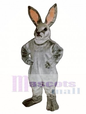 Ostern Jack Hase Kaninchen Maskottchen Kostüm Tier