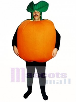 Orange Maskottchen Kostüm Obst