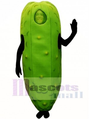 Dill Pickle Maskottchen Kostüm Gemüse