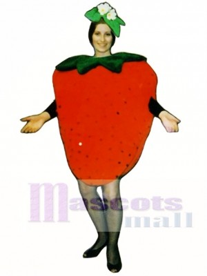 Erdbeere Maskottchen Kostüm Obst