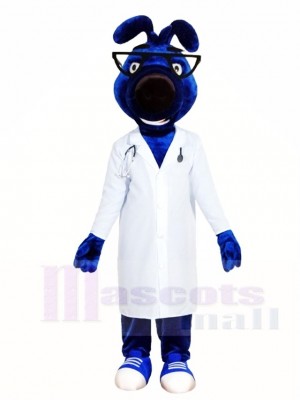 Blau Hund Doktor Maskottchen Kostüme Tier