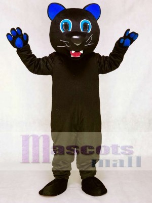 Sir Purr mit königlich Blau Ohren Maskottchen Kostüm der Carolina Panthers