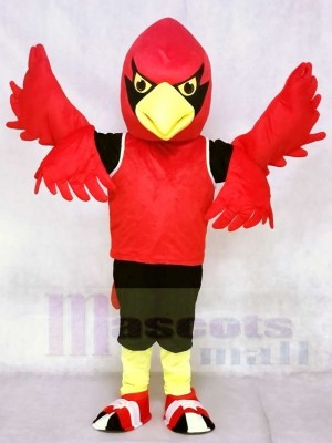 Roter Kardinal mit Weste Maskottchen kostümen Vogel Tier