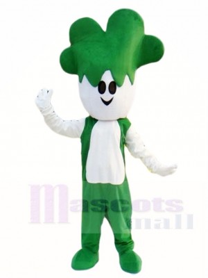 Grün Gemüsekohl Maskottchen Kostüm Anlage