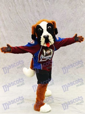 Bernie der Hund Bernhardiner Colorado Lawine Maskottchen Kostüm Tier