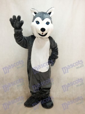 Weiß und grau Husky Hund Maskottchen Kostüm Tier