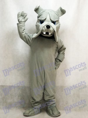 Graue Bully Bulldog Hund Maskottchen Kostüm Tier