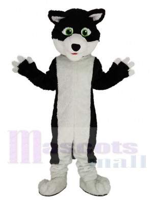 Schwarz und Weiß Rand Collie Hund mit Grün Augen Maskottchen Kostüm