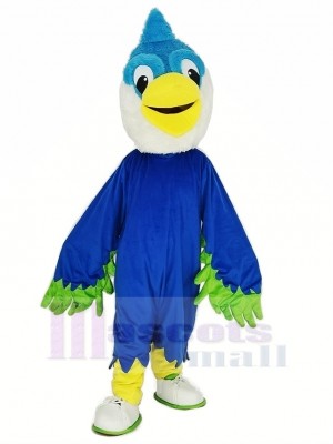 königlich Blau Kopf Vogel Maskottchen Kostüm Tier