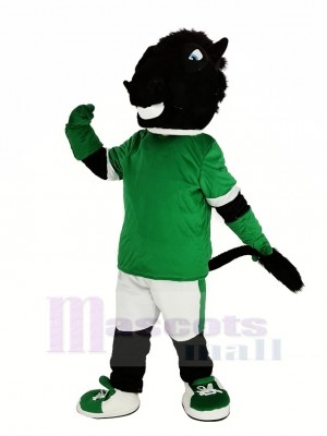 Schwarz Pferd im Grün Jersey Maskottchen Kostüm Tier