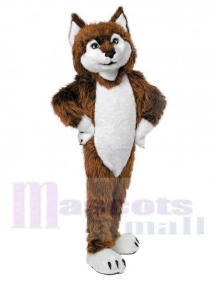 Süß Braun Wolf Maskottchen Kostüm Tier