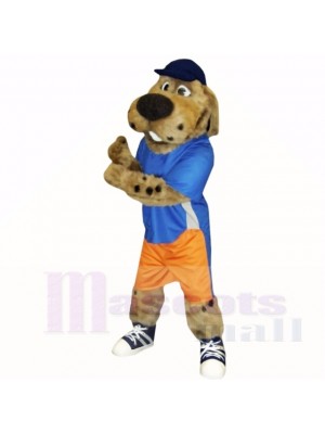 Sporthund mit blauer Hut-Maskottchen-Kostüm-Schule