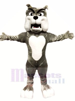 Qualität Grau Bulldogge Maskottchen Kostüme Karikatur