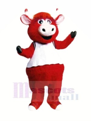 Rot Bull Mit Weiß Weste Maskottchen Kostüme Cartoon