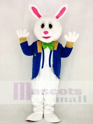 Komisch Ostern Hase mit Blau Passen Maskottchen Kostüm Schule