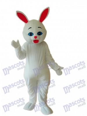 Ostern Kaninchen Maskottchen Erwachsene Kostüm Tier