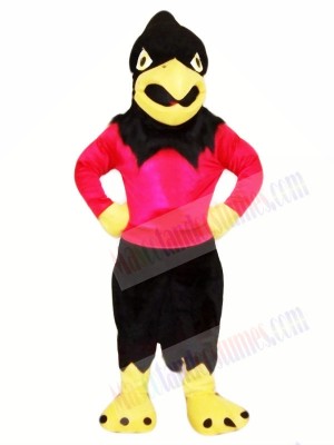 Sport Schwarz Falke Maskottchen Kostüme Tier