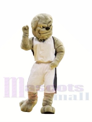 Hochschule Bulldogge Maskottchen Kostüme