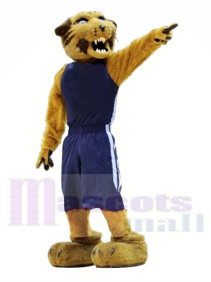 Sport Wilde Katze mit Blau Passen Maskottchen Kostüme Tier