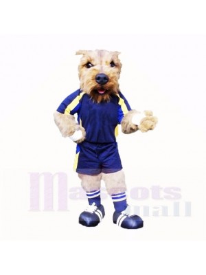 Fußball Hund Mit Blau T-Shirt Maskottchen Kostüme Schule