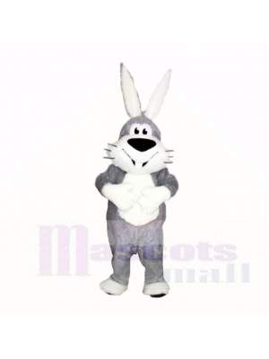 Lächelnd Grau und Weiß Hase Maskottchen Kostüme Karikatur