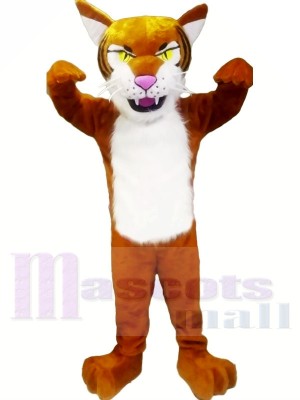 Heftig Leicht Tiger Maskottchen Kostüme