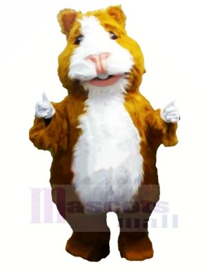 Süß Hamster Maskottchen Kostüme Karikatur