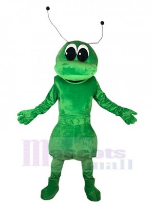 Lustige grüne Ameise Maskottchen-Kostüm Tier