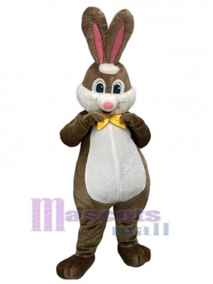 Großhandel Braunes Kaninchen Maskottchen-Kostüm Tier