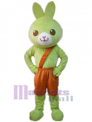 Grünes Kaninchen Maskottchen-Kostüm Tier