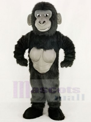 Komisch Gorilla Maskottchen Kostüm Hochschule