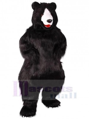 Starker schwarzer Plüschbär Maskottchen-Kostüm Für Erwachsene Maskottchen-Köpfe