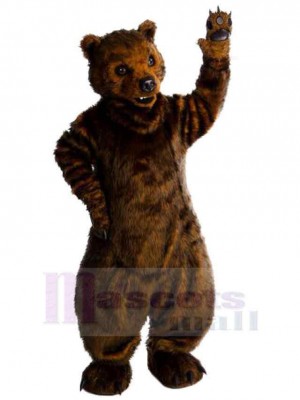 Wilder Bär Maskottchen-Kostüm Für Erwachsene Maskottchen-Köpfe