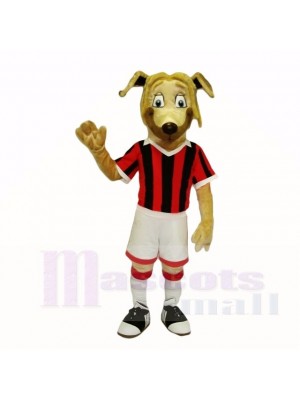 Fußball Hund Mit rot Hemd Maskottchen Kostüme Karikatur
