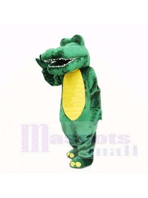 Freundlich Leicht Alligator Maskottchen Kostüme Karikatur