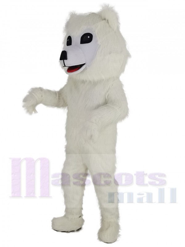 Samojede Hund maskottchen kostüm